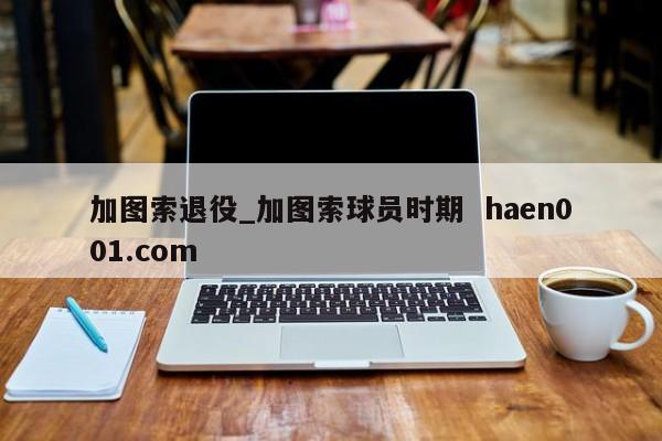 加图索退役_加图索球员时期  haen001.com