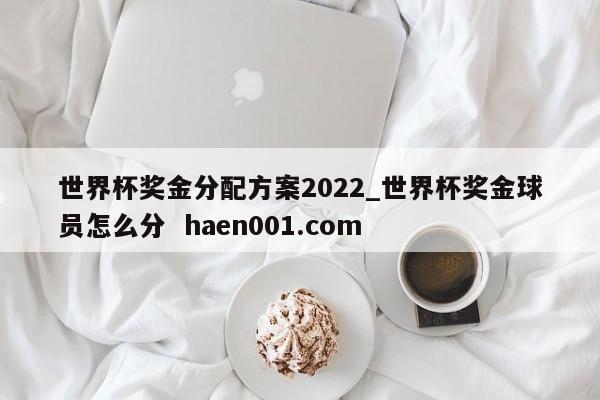 世界杯奖金分配方案2022_世界杯奖金球员怎么分  haen001.com